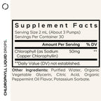 Codeage Chlorophyll Liquid Drops Organic Peppermint - 2 Fl Oz - image 2