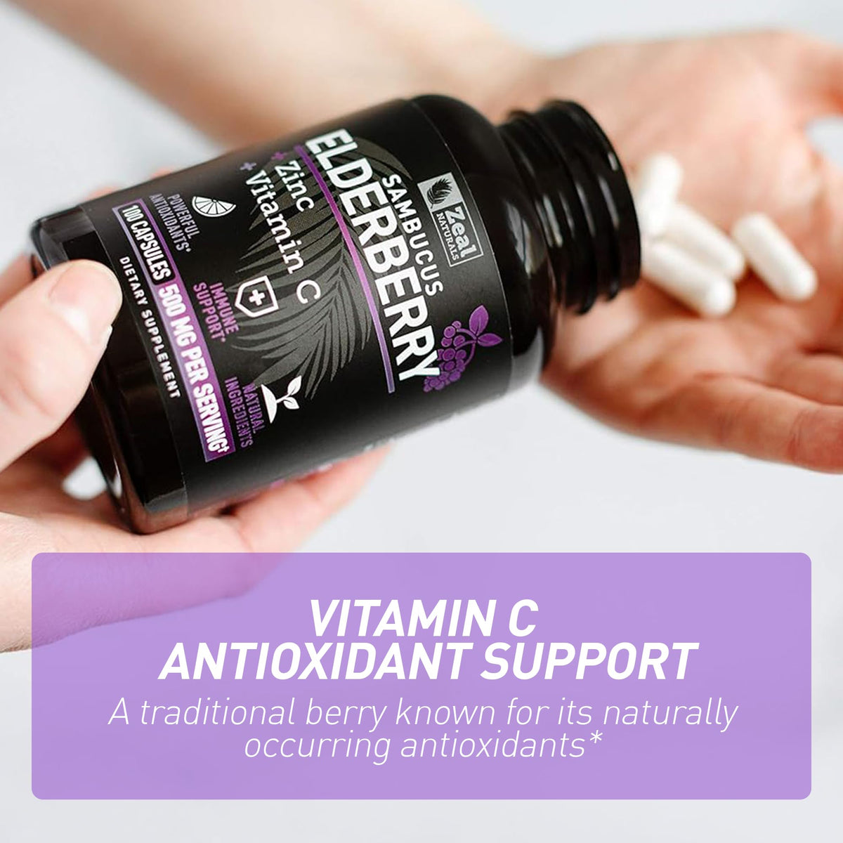 Zeal Naturals Max Strength Elderberry Capsules - 100 Capsules - image 5
