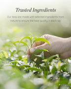 Sempio Green Tea with Brown Rice - 40 Tea Bags - image 5