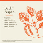 Bach Original Flower Remedies - Natural Homeopathic Flower Essence