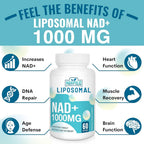 Maripolio Liposomal NAD+ 1000 mg Supplement - image 6