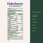 Nature's Bounty Flavored Gummy Elderberry Immune Health 100mg Bottle