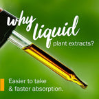 Herb Pharm Yarrow Flowering Tops Liquid Extract - 4 Fl Oz - image 3