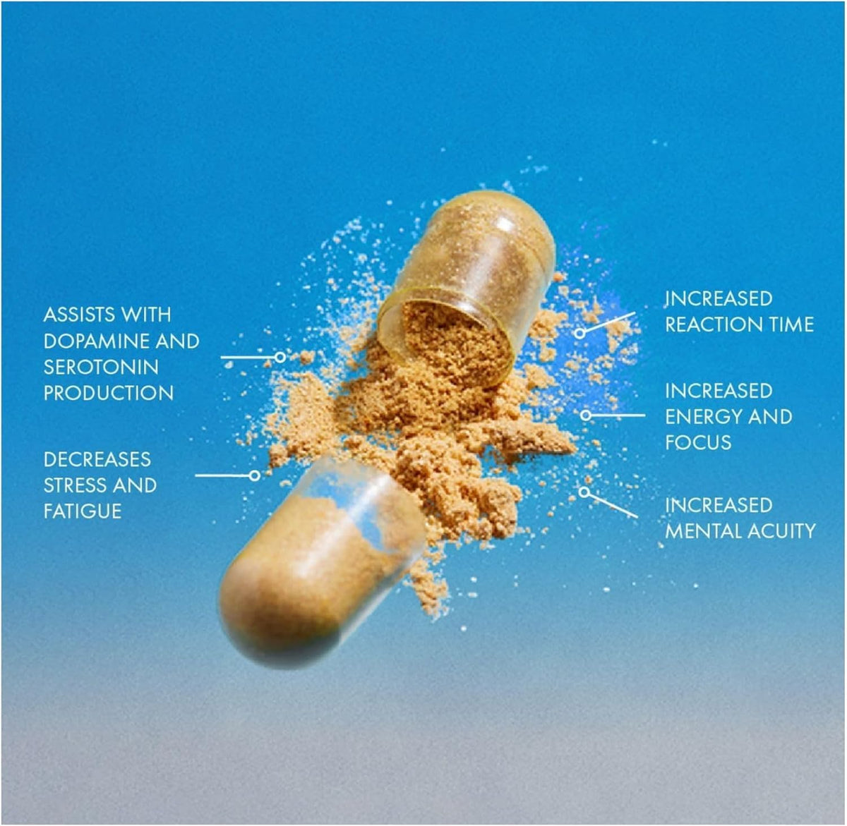 THEROOTBRANDS Root Wellness Zero-In Focus Supplement - 60 Capsules - image 6