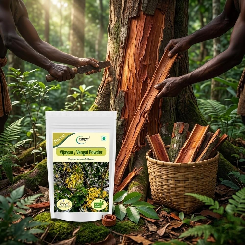 YAMKAY Vijaysar Vengai Bark Powder - 300 GM - image 4