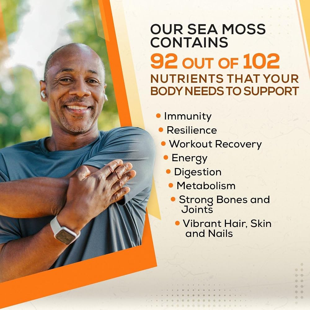 Ahai Life Raw Golden Sea Moss Wildcrafted St. Lucia - 4 oz - image 4
