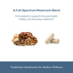 Eclectic Original 7 Mushrooms Freeze Dried Vegetables