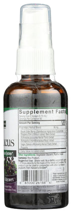 Nature's Answer Sambucus Black Elderberry Extract Spray - 2 Fl Oz - image 4