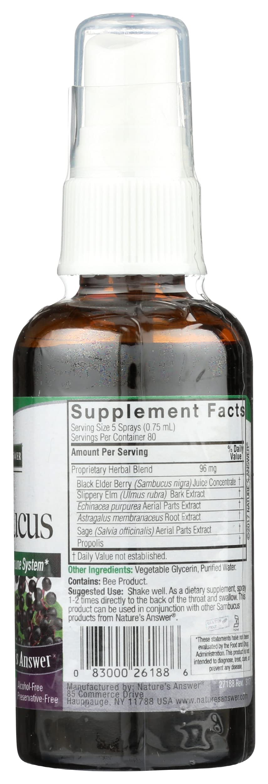 Nature's Answer Sambucus Black Elderberry Extract Spray - 2 Fl Oz - image 4