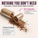 Left Coast Performance Beef Organ Supplement for Women - with Gotu