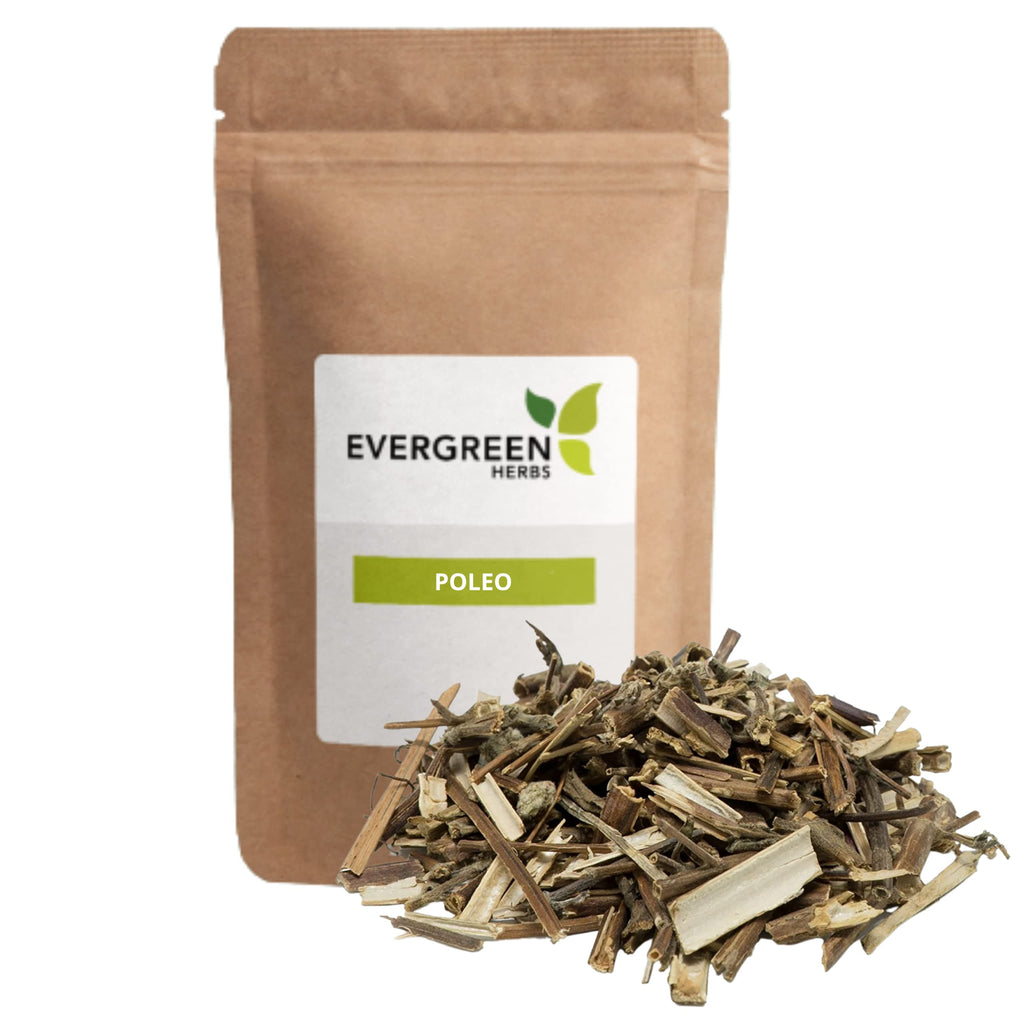 Evergreen Herbs Poleo Mexican Penny Royal Herb - 8 oz - image 2