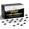 Santegra Shilajit Tablets 500 mg for Energy - 60 Tablets