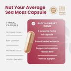Healthy Herbs Wildcrafted Sea Moss Capsules 1950mg - 180 Count - image 6