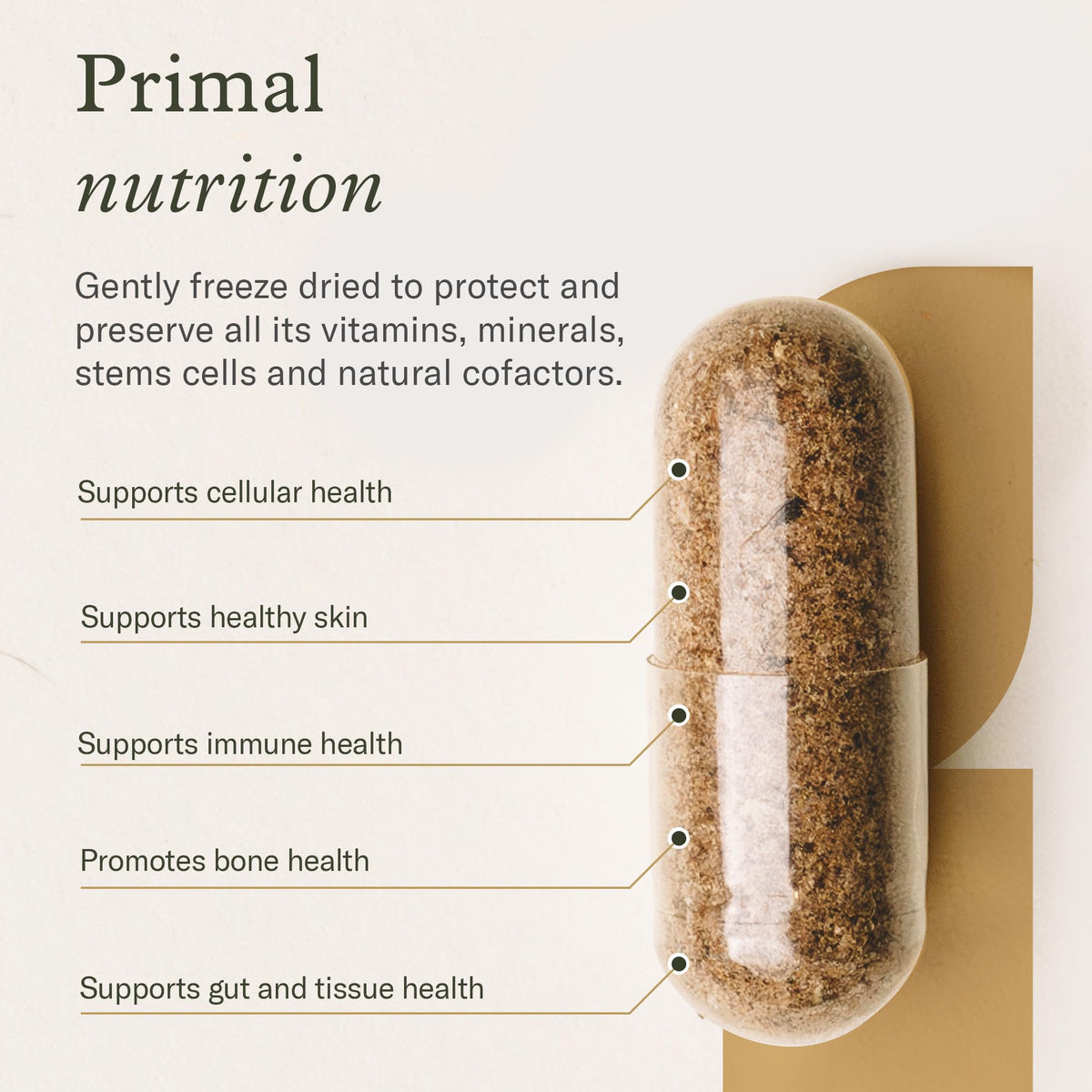 Enviromedica Grass-Fed Beef Bone Marrow Collagen - 120 Capsules - image 3