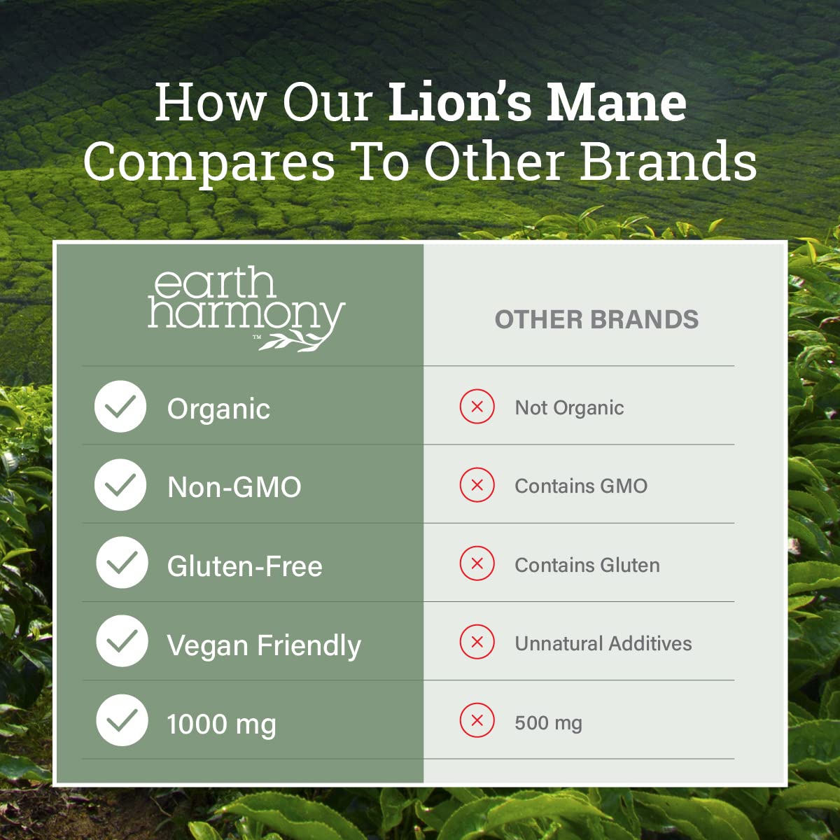 Earth Harmony Naturals Lion's Mane Supplement 1000mg - 120 Capsules - image 5