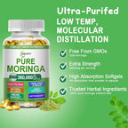 JINGYAT Moringa Softgels Organic Extract for Energy - 120 Softgels - image 3