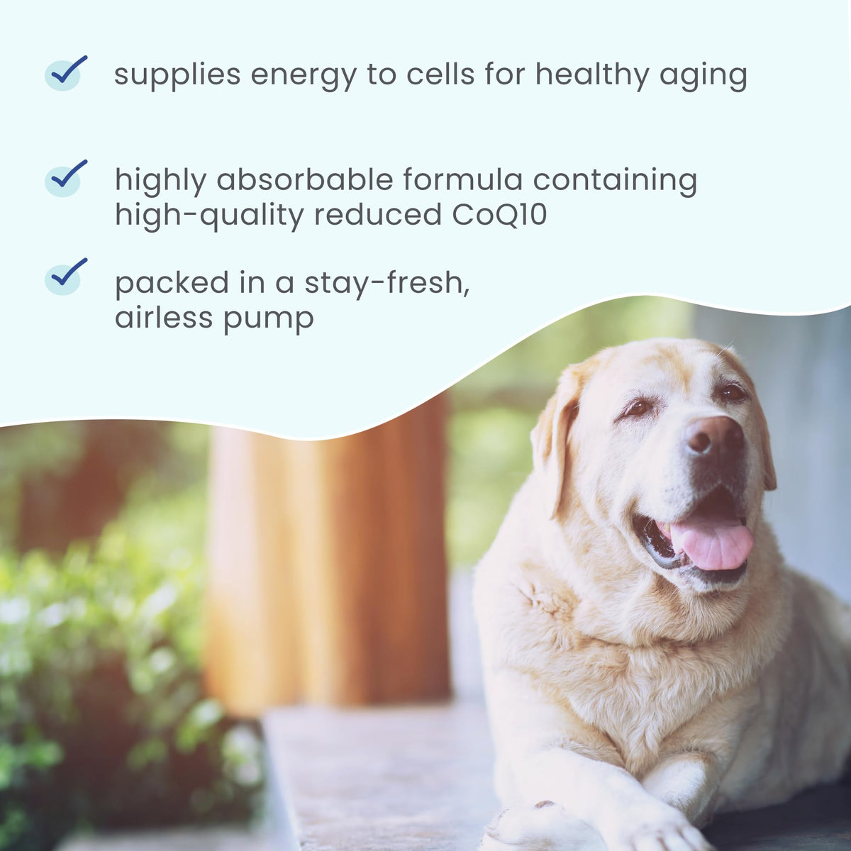 Dr. Mercola Bark & Whiskers Ubiquinol Liquid for Dogs & Cats - 1.45 oz - image 4