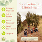 Green Dragon Botanicals LB CORE Protocol Tincture - Japanese Knotweed