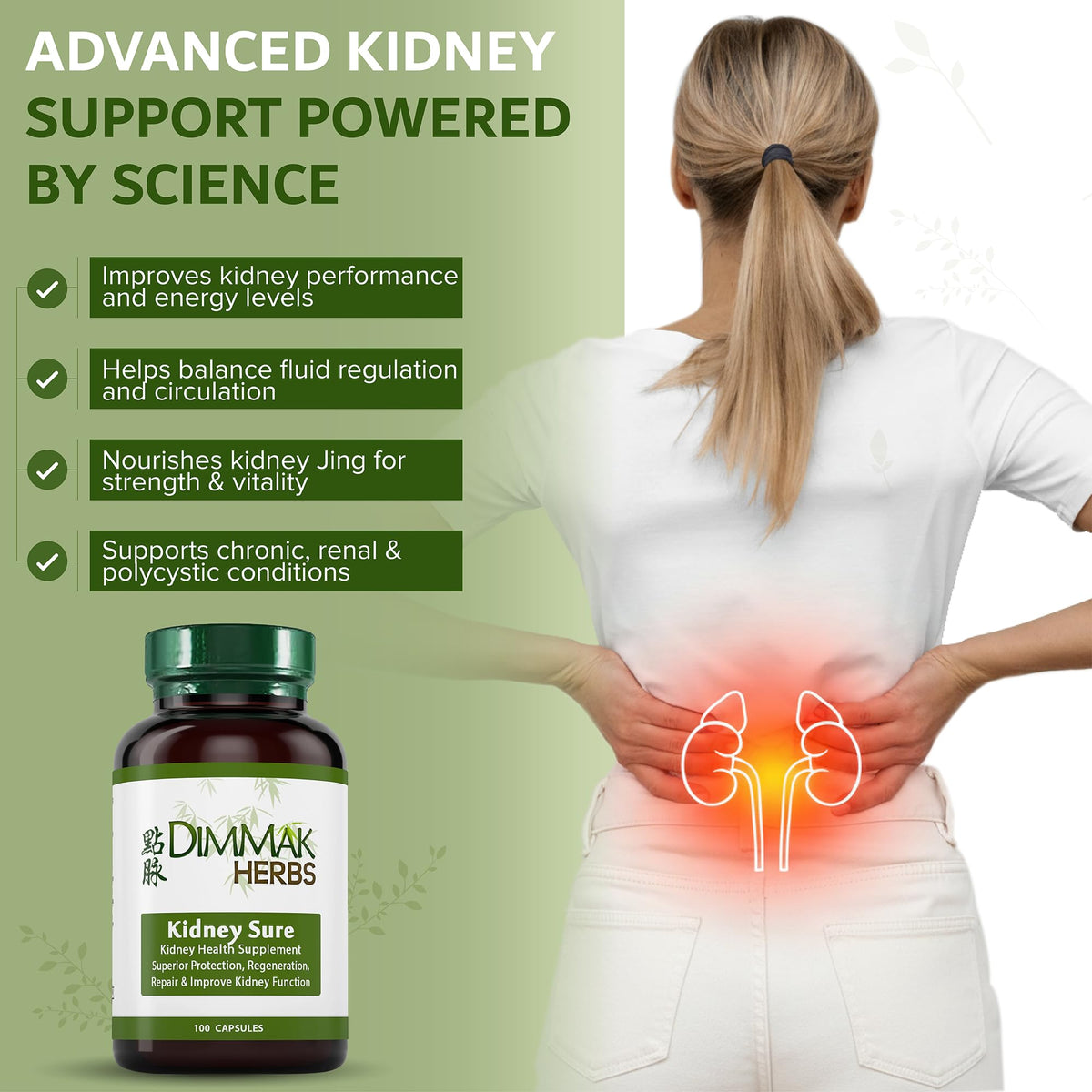 Dimmak Herbs Kidney Sure Herbal Support - 100 Capsules - image 5