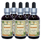 Herbal Terra LLC HerbalTerra Bilberry Tincture Liquid Extract - 5x2 fl oz