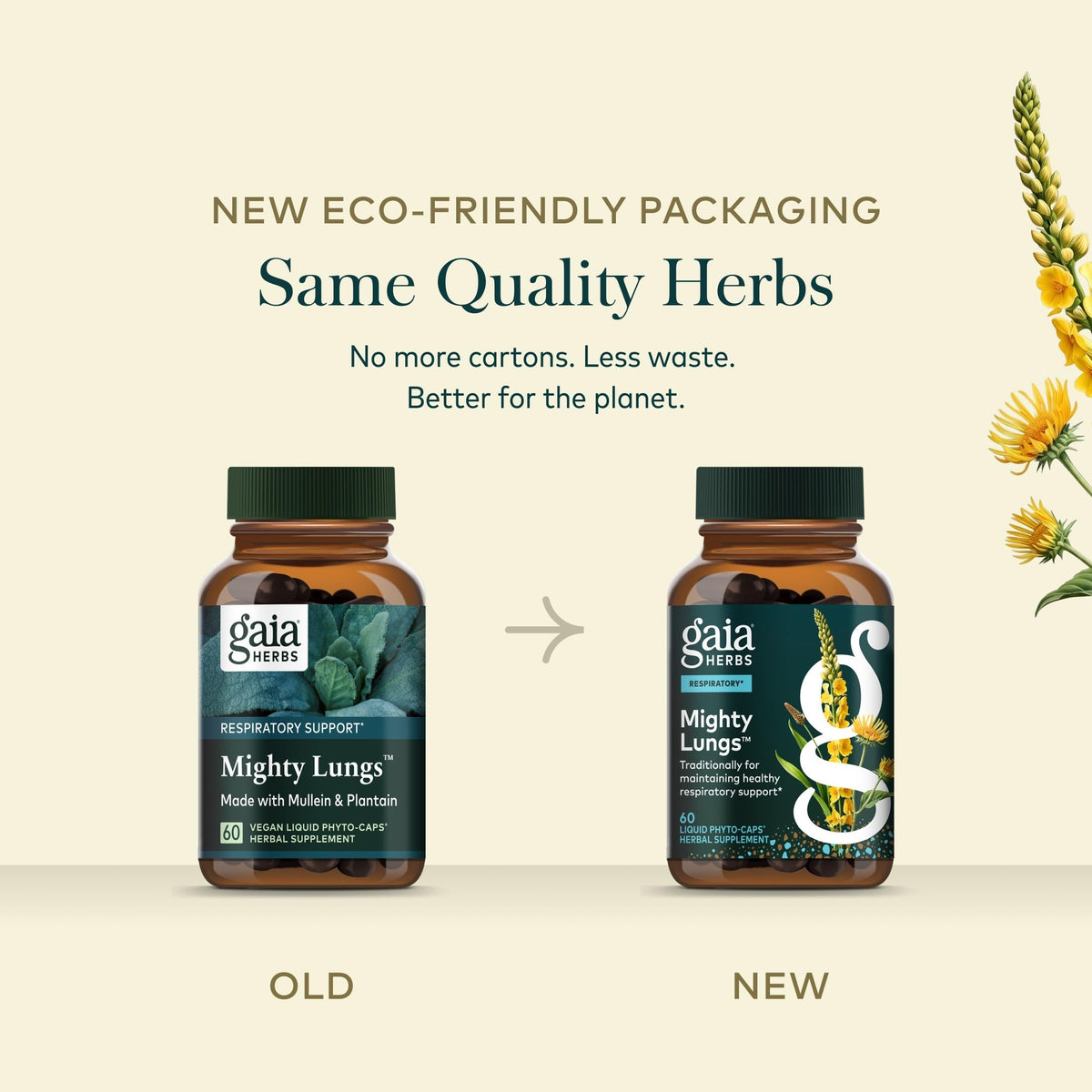 Gaia Herbs Mighty Lungs Respiratory Support - 60 Vegan Capsules - image 7
