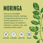 Banyan Botanicals Organic Moringa Powder - 8 oz - image 3