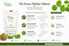 YOGIS HERBS Vallarai Powder Centella Asiatica for Cognitive Wellness - 16 oz - image 3