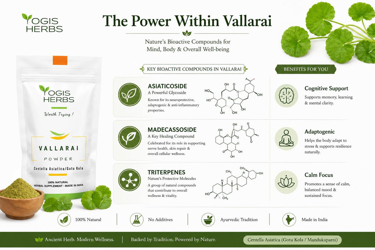 YOGIS HERBS Vallarai Powder Centella Asiatica for Cognitive Wellness - 16 oz - image 3