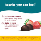 Nature Made Wellblends Stress Relief Gummies - 40 Gummies - image 3