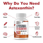 Osasuna Liposomal Astaxanthin Supplement 24 MG