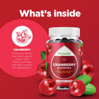 Phytoral Extra Strength Cranberry Gummies - 60 Count - image 3