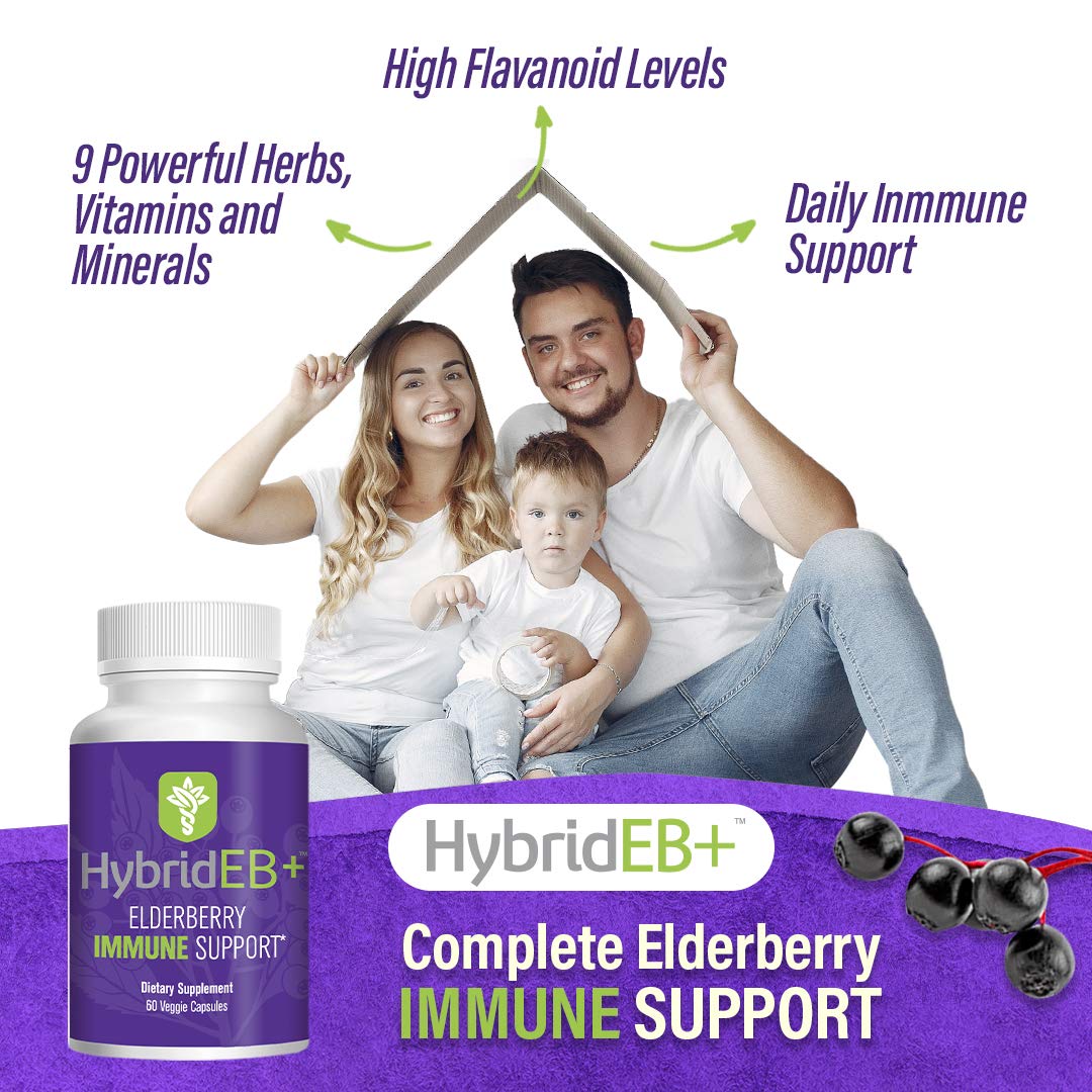 Hybrid Sambucus Elderberry Immune Support - 60 Vegetarian Capsules - image 4