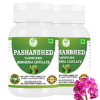 Morsan Healthcare Pashanabheda Powder - 120 Vegetarian Capsules