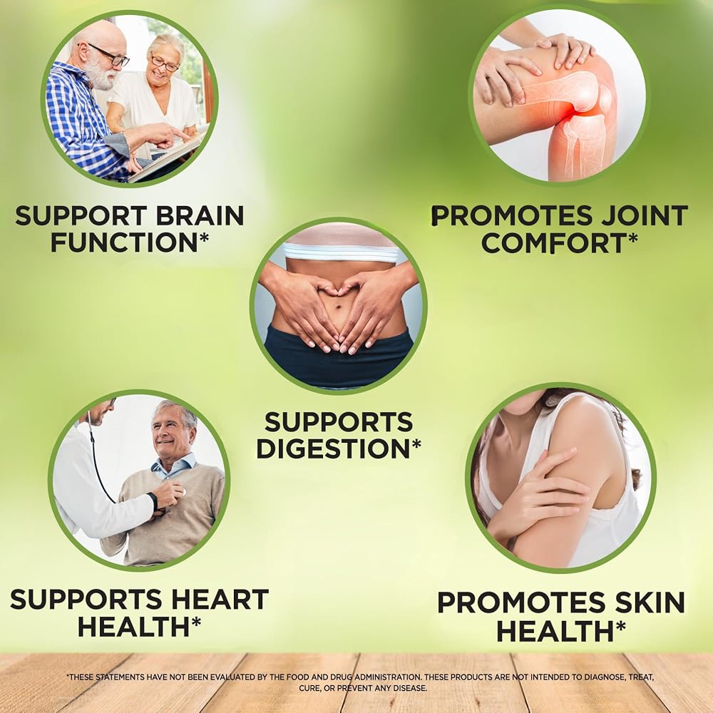 Vitalize Life Organic Turmeric Ginger Supplement - 60 Capsules - image 3