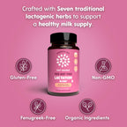 OAT MAMA Organic Lactation Supplement Fenugreek-Free - 60 Capsules - image 2
