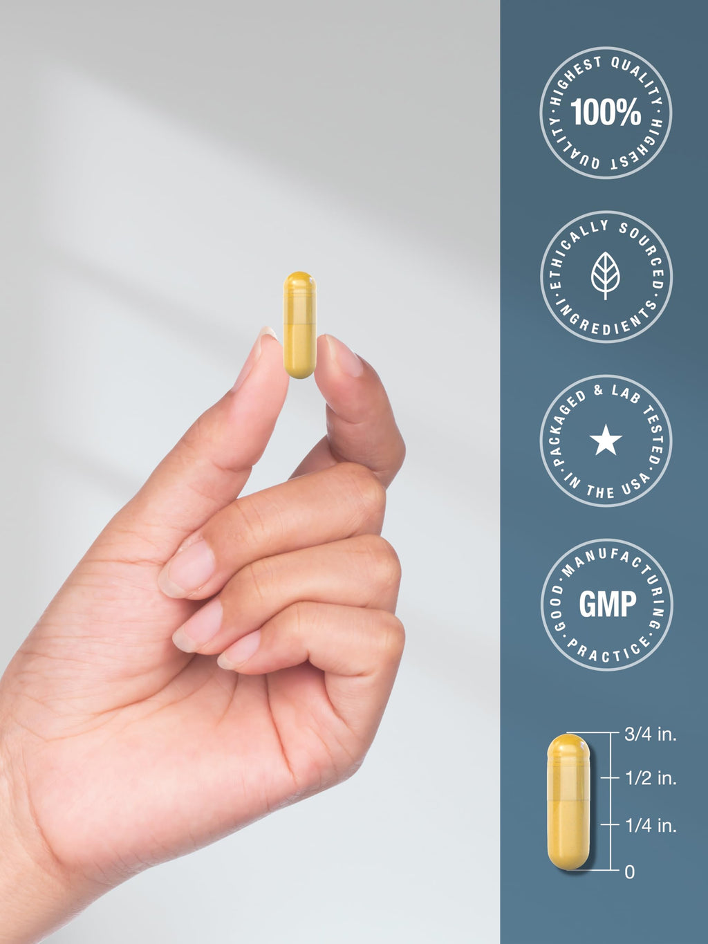 Horbäach Ox Bile Supplement 1000mg - 100 Capsules - image 7