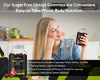 CogniTune Pure Himalayan Shilajit Gummies - 60 Count - image 3