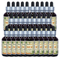 Herbal Terra LLC San Qi (Tian Qi), Notoginseng (Panax Notoginseng)