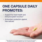 Metagenics Quercetin 500 mg Immune & Respiratory Support - 60 Capsules - image 2