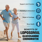 Totaria Liposomal Glucosamine Chondroitin MSM Joint Support - 120 Capsules - image 3