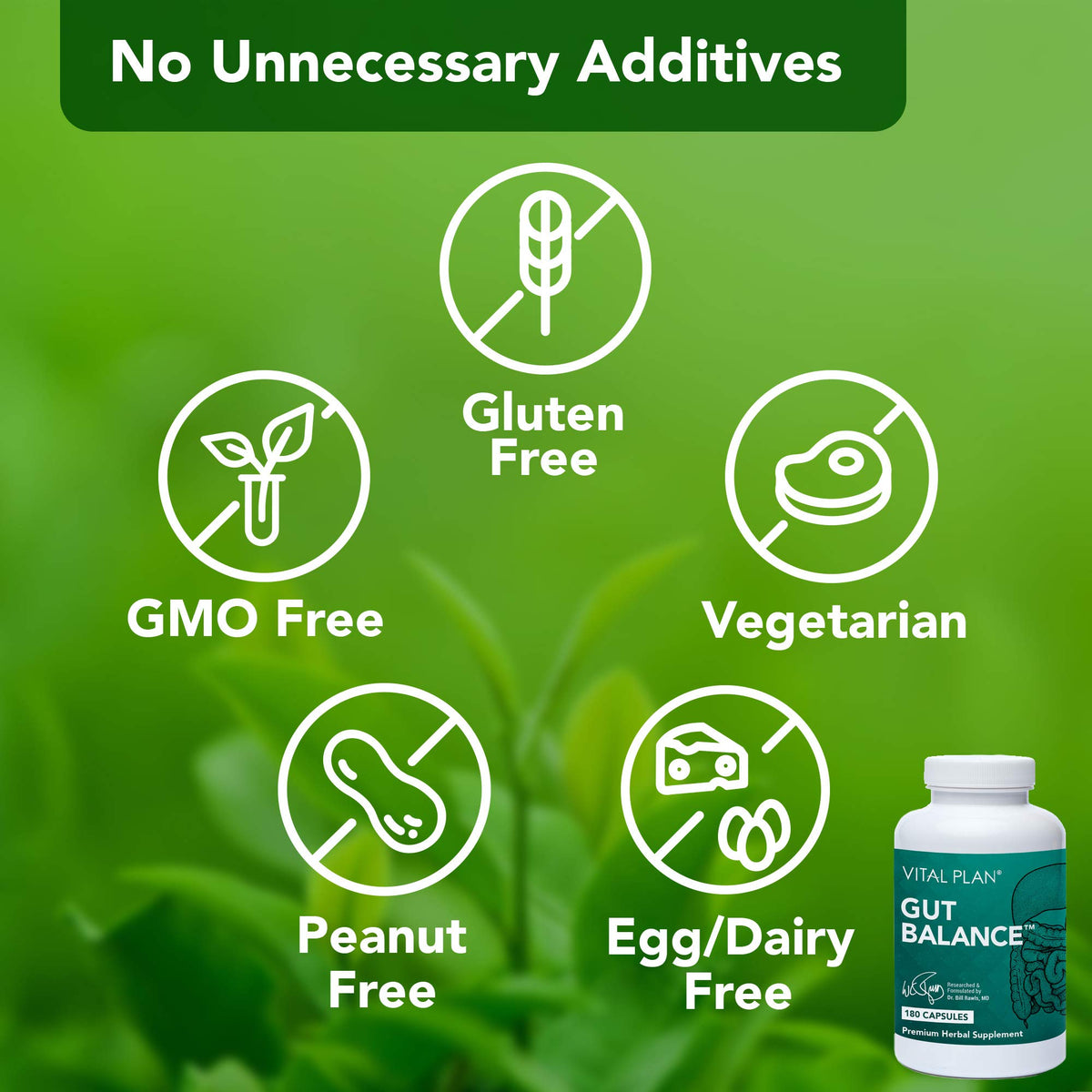 Vital Plan Gut Balance Supplement - 180 Capsules - image 3