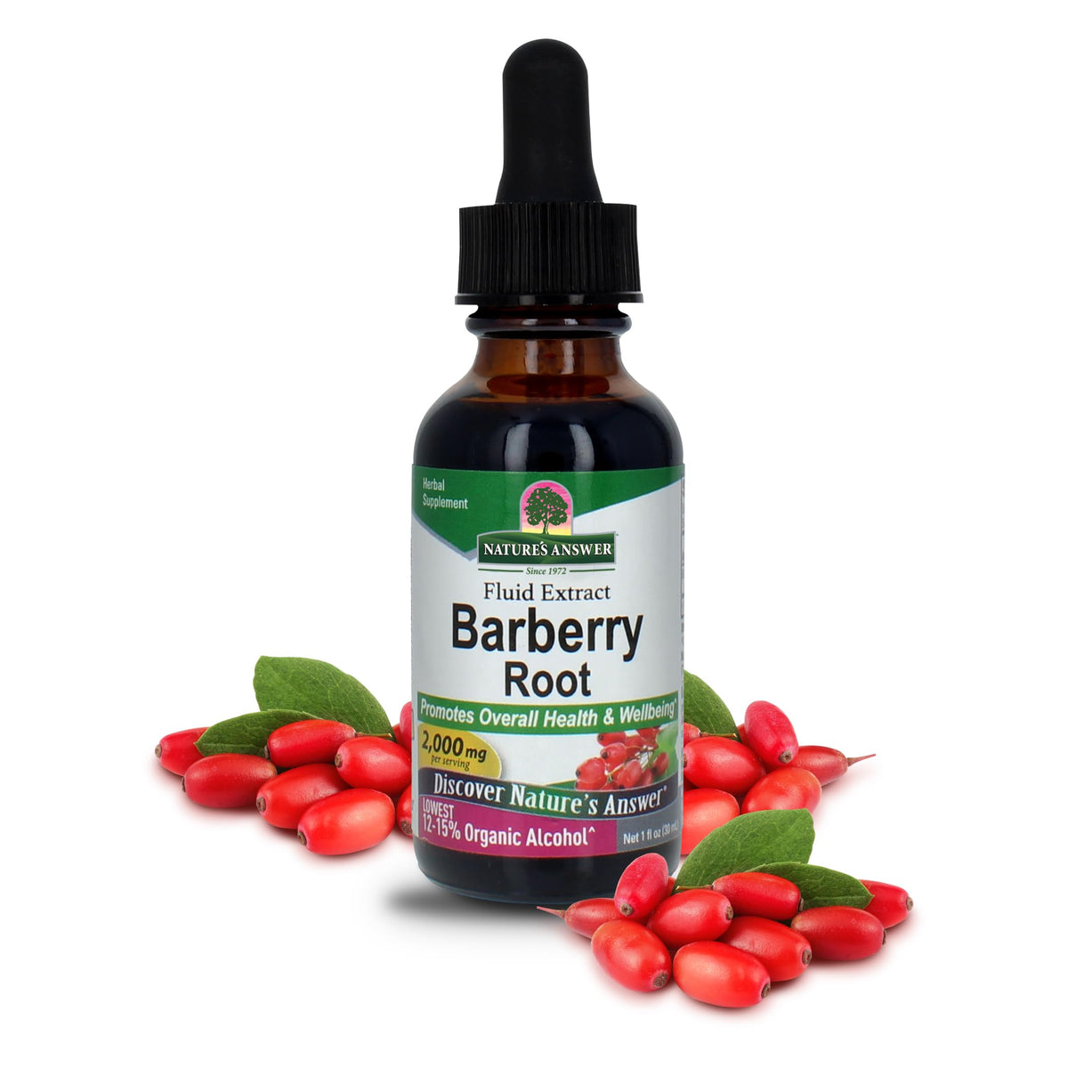 Nature's Answer Barberry Root Extract Liquid - 1 Fl Oz