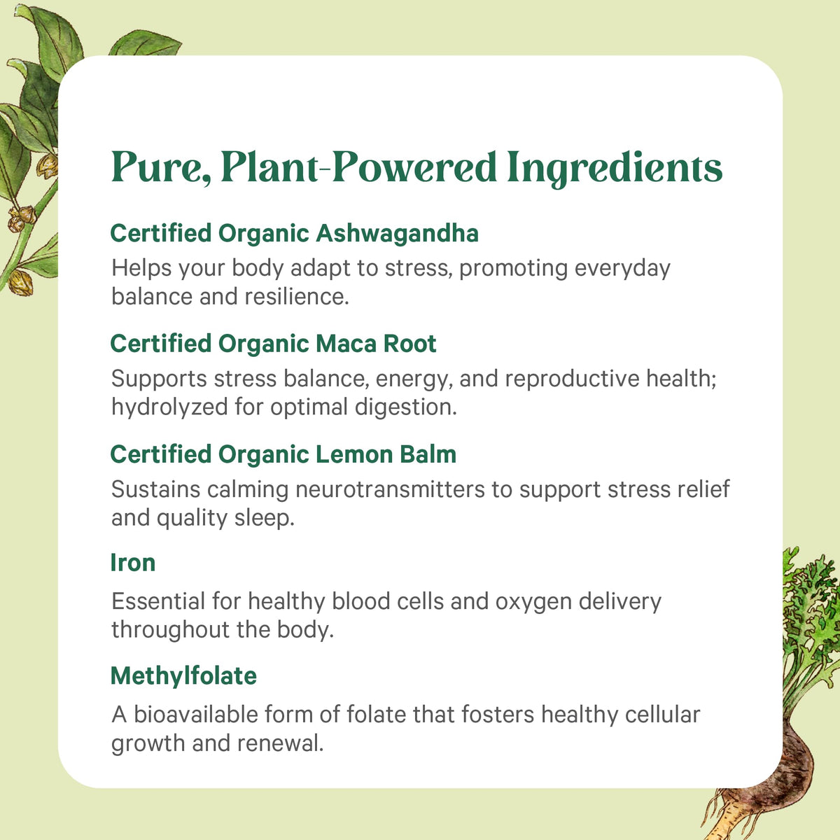 PURE SYNERGY Vita·Min·Balance Multivitamin for Women with Iron - 60 Tablets - image 5