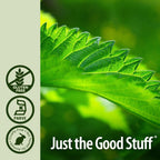 Nature's Answer Nettle Leaf Liquid Extract - 2 Fl Oz - image 5