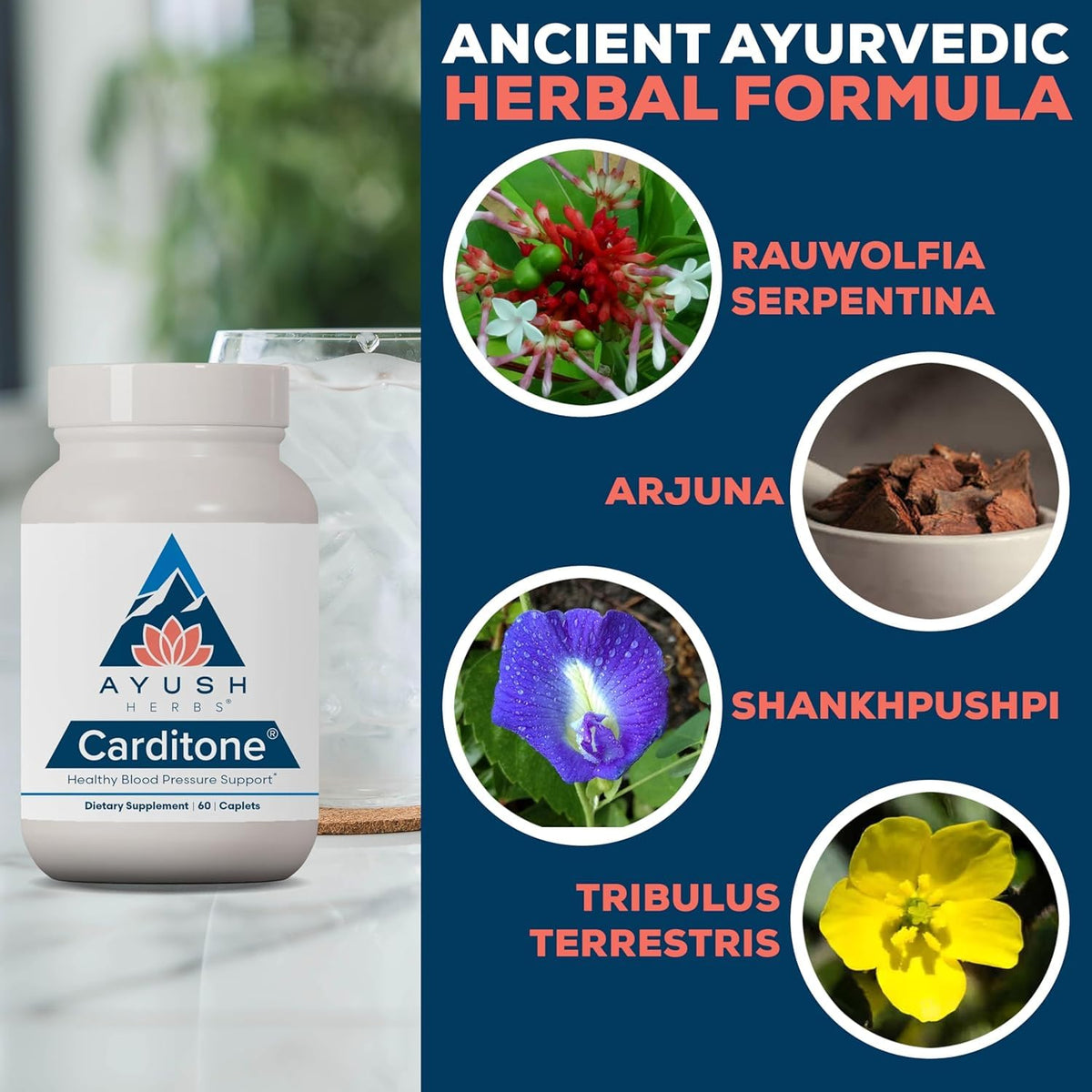 Ayush Herbs Carditone Herbal Heart Support - 60 Caplets - image 3