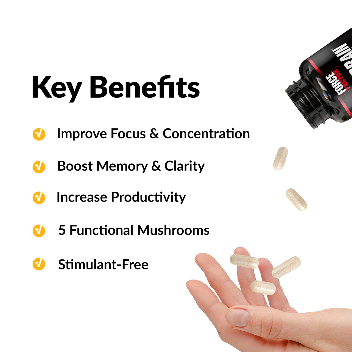 Force Factor Forebrain Nootropic Brain Supplement to Improve Memory