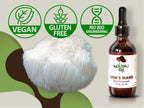 Mushrooms Way Lion's Mane Mushroom Supplement for Memory & Focus - 2 Fl Oz - image 2