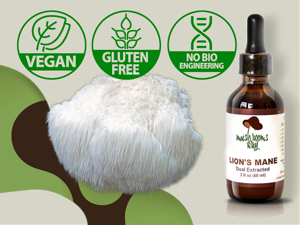 Mushrooms Way Lion's Mane Mushroom Supplement for Memory & Focus - 2 Fl Oz - image 2