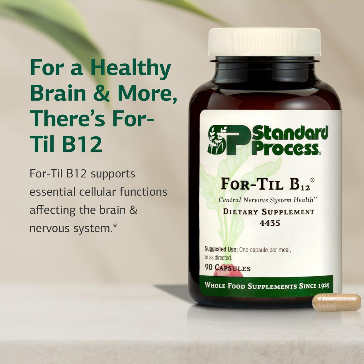 Standard Process For-Til B12 Vitamin B12 Supplement - 90 Capsules - image 3