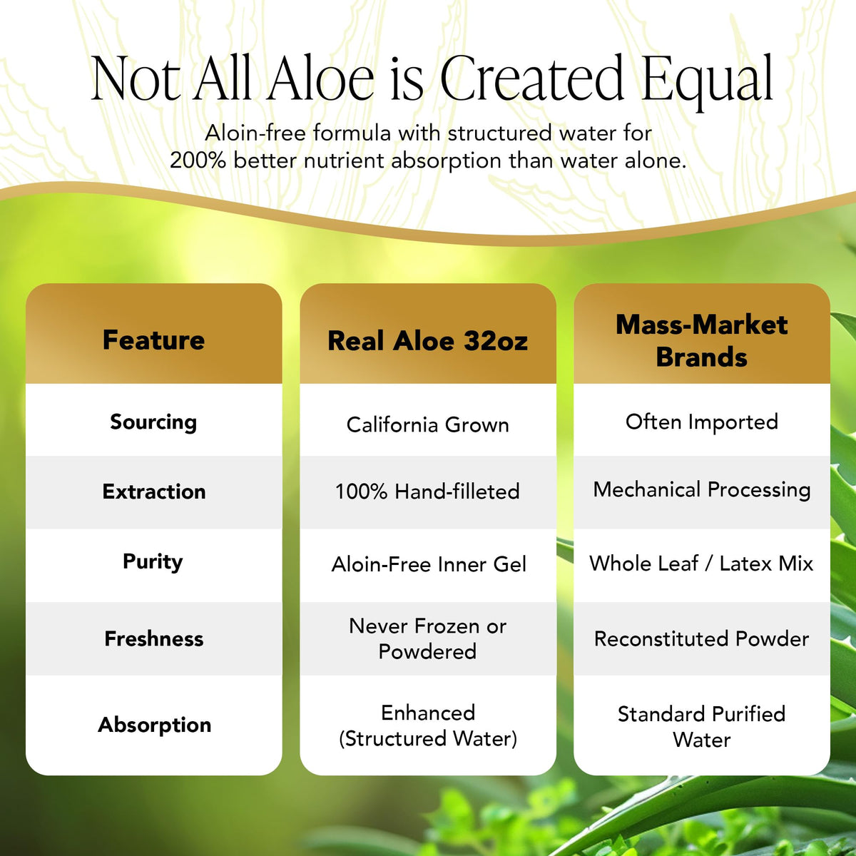 Real Aloe Organic Aloe Vera Juice - 32 fl oz - image 7